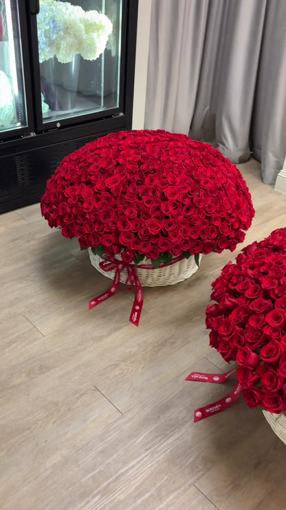500 Red Roses Grand Basket