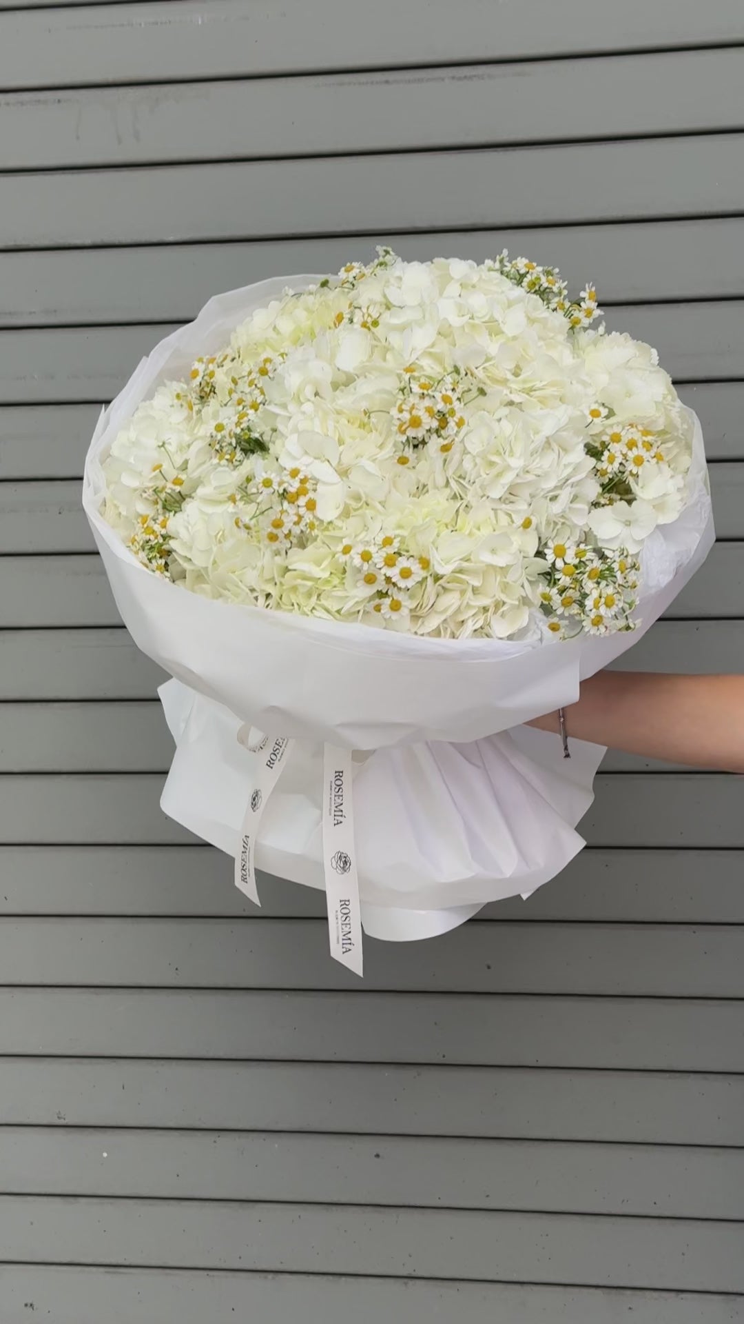 No.228 CHAMOMILE GRACE - hydrangeas, chamomile