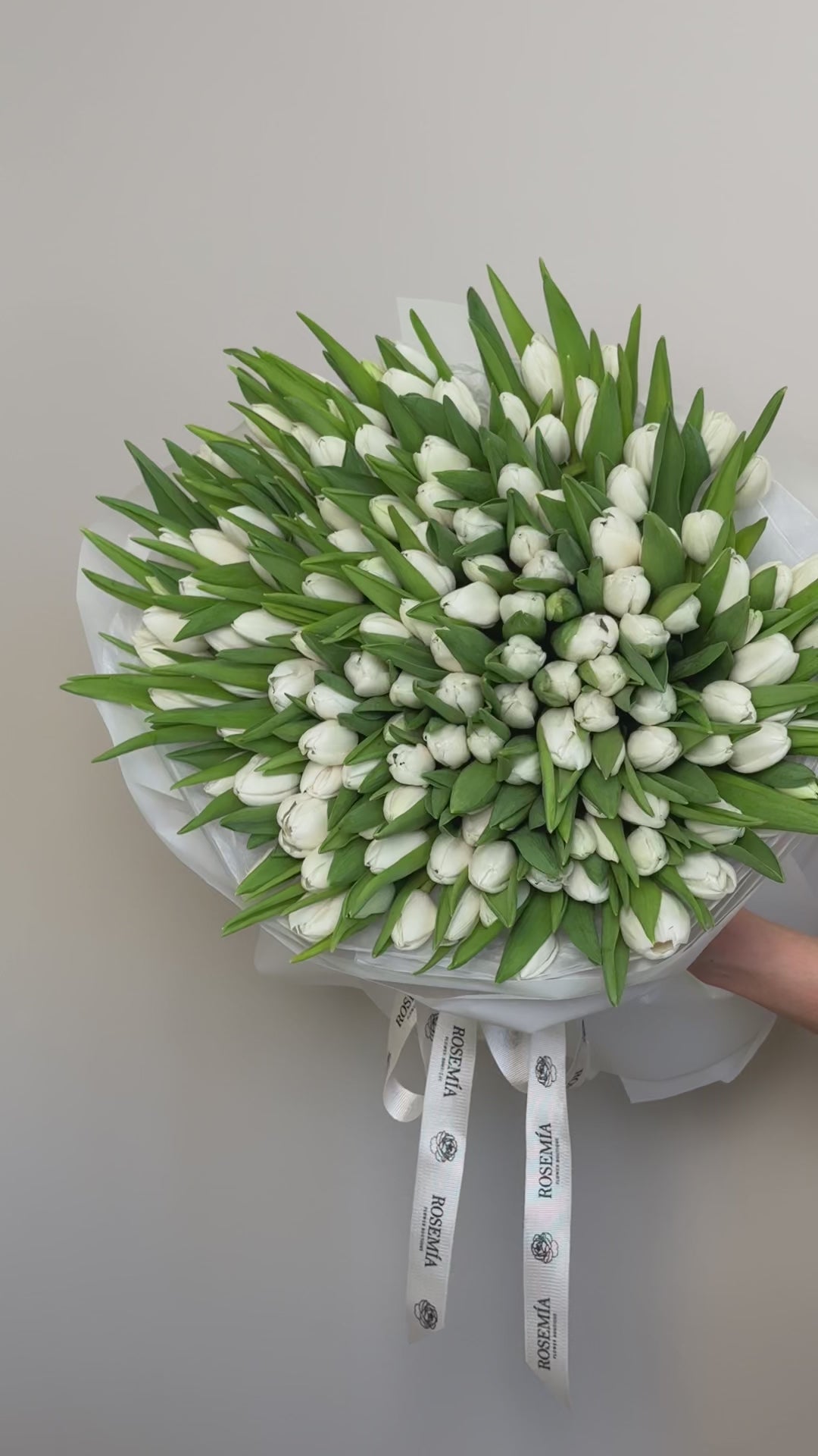 No.190 WHITE TULIPS