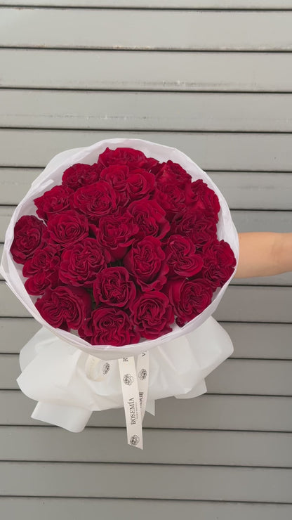 No.58 SCARLET PASSION - garden roses