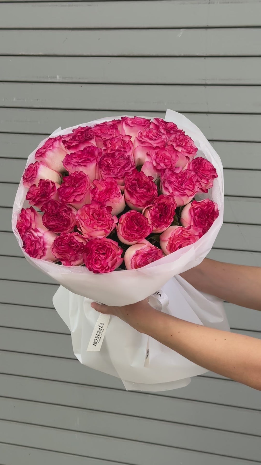 Nro. 198 ROSAS ROSAS LUSCIOUS