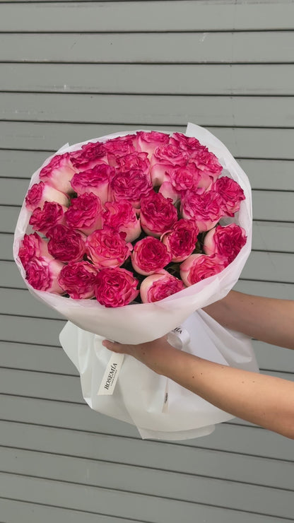Nro. 198 ROSAS ROSAS LUSCIOUS