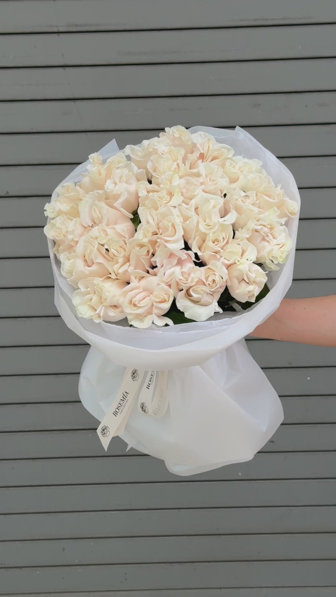 No.42 ANGEL’S VEIL - garden roses