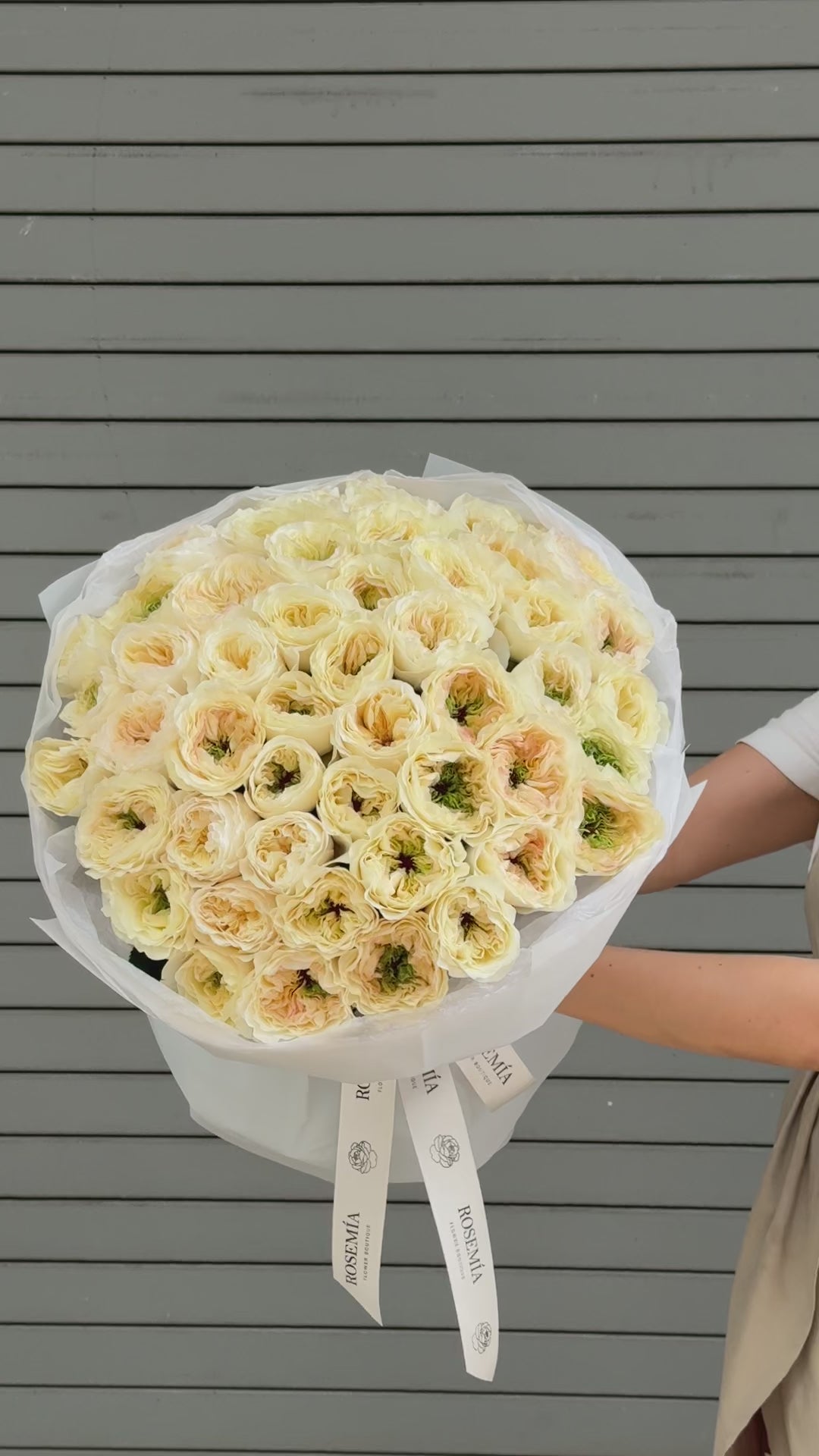 No.245 VICKY GARDENS - garden roses