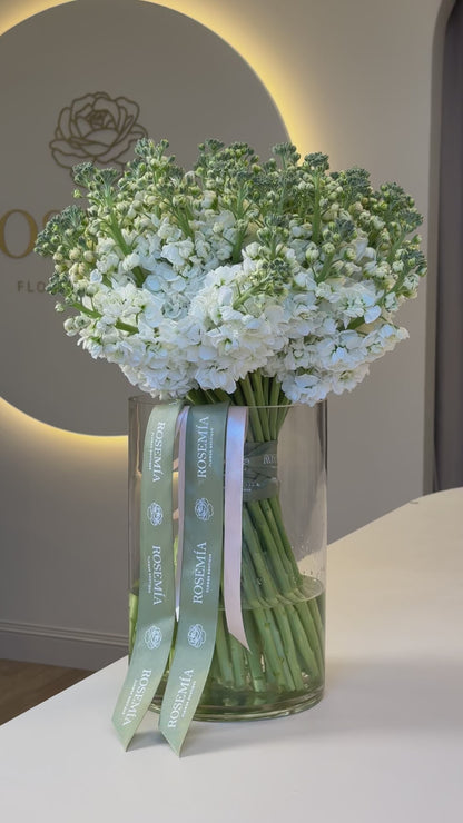 No.197 Alhelí blanco en un florero