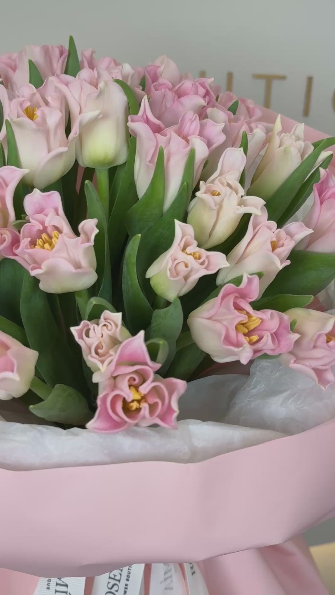 No. 108 PINK LILY TULIPS