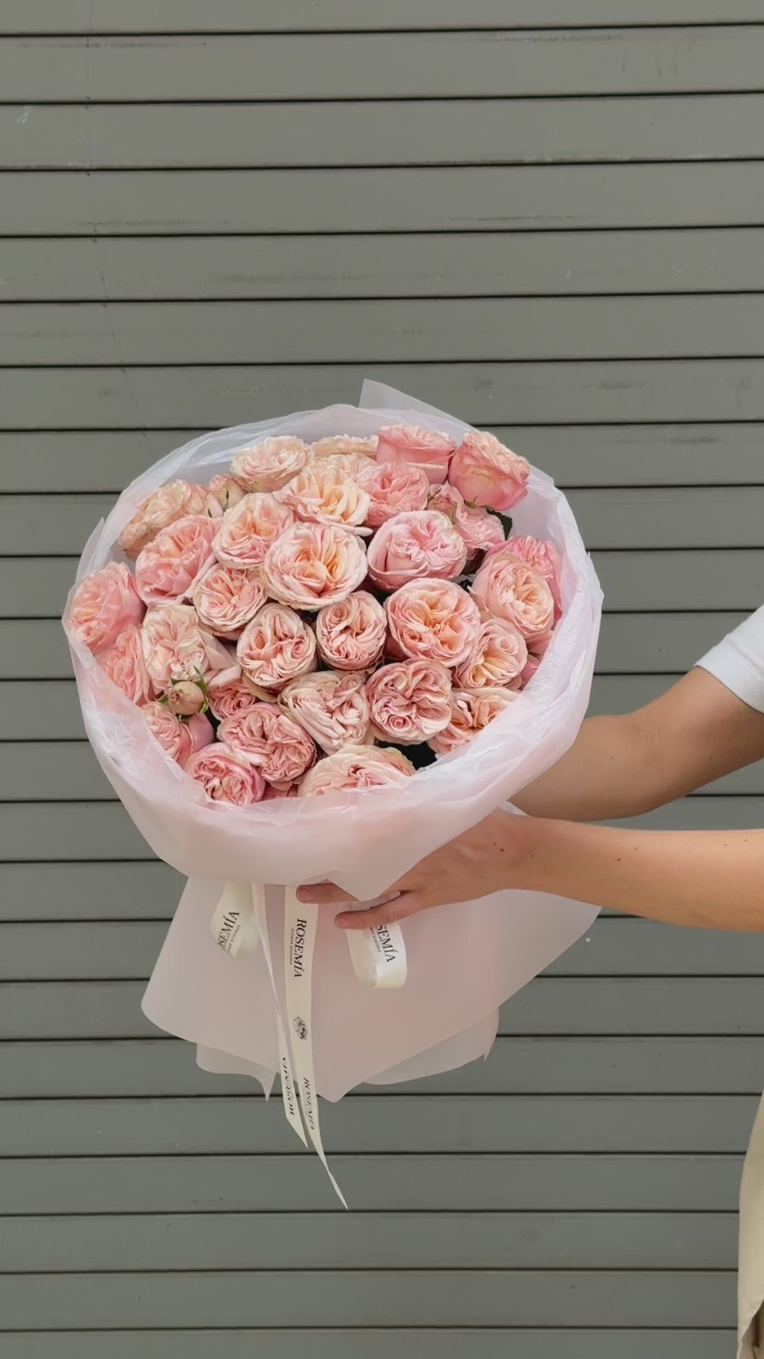 No.97 PINK TEMPTATION - garden spray roses