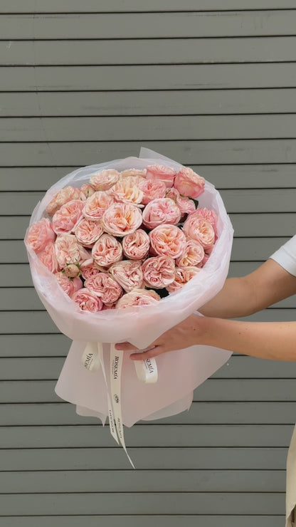 No.97 PINK TEMPTATION - garden spray roses