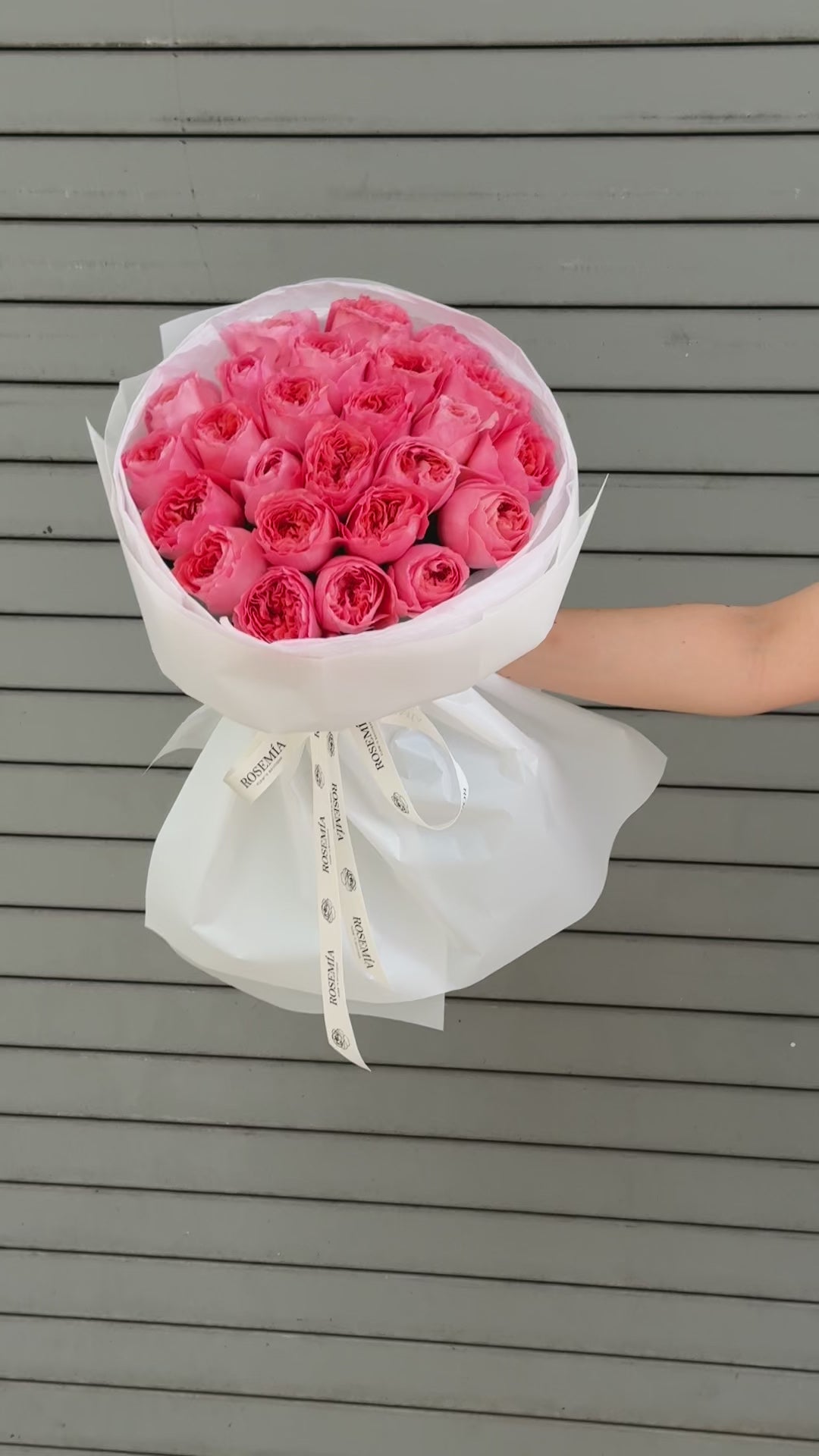 No.51 CANDY CORAL - garden roses