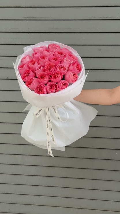 No.51 CANDY CORAL - garden roses