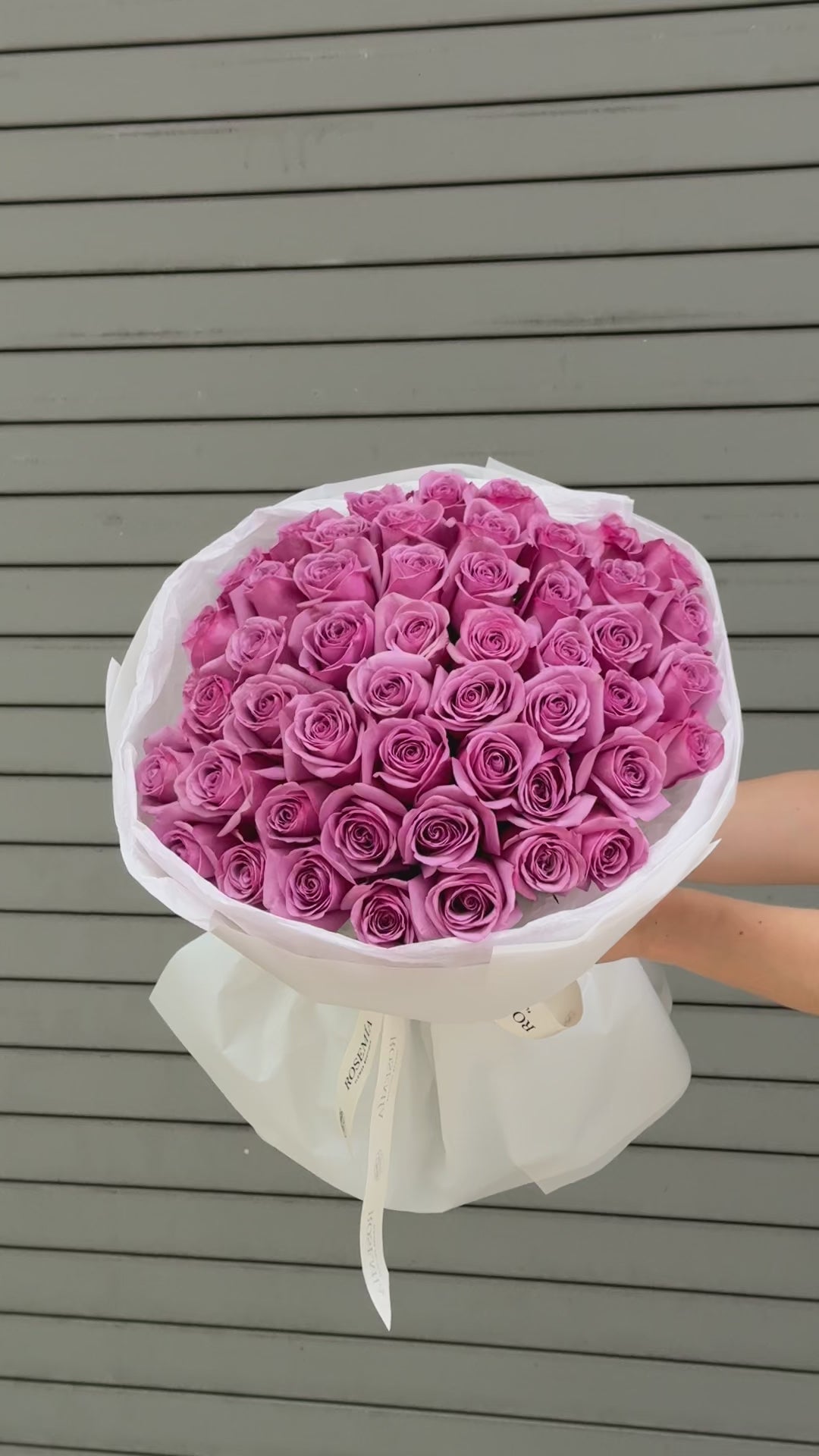 Nro. 150 ROSA ABRAZO