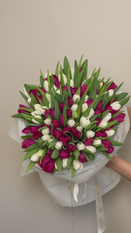 No.196 WHITE & FUCHSIA TULIPS