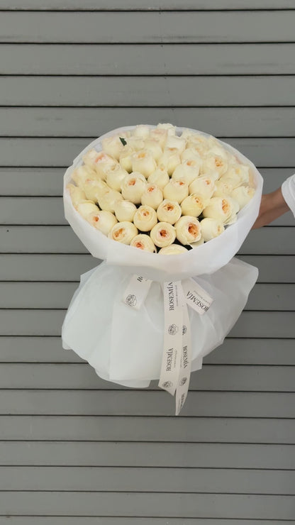 No.245 CREAM BRULEE - garden roses