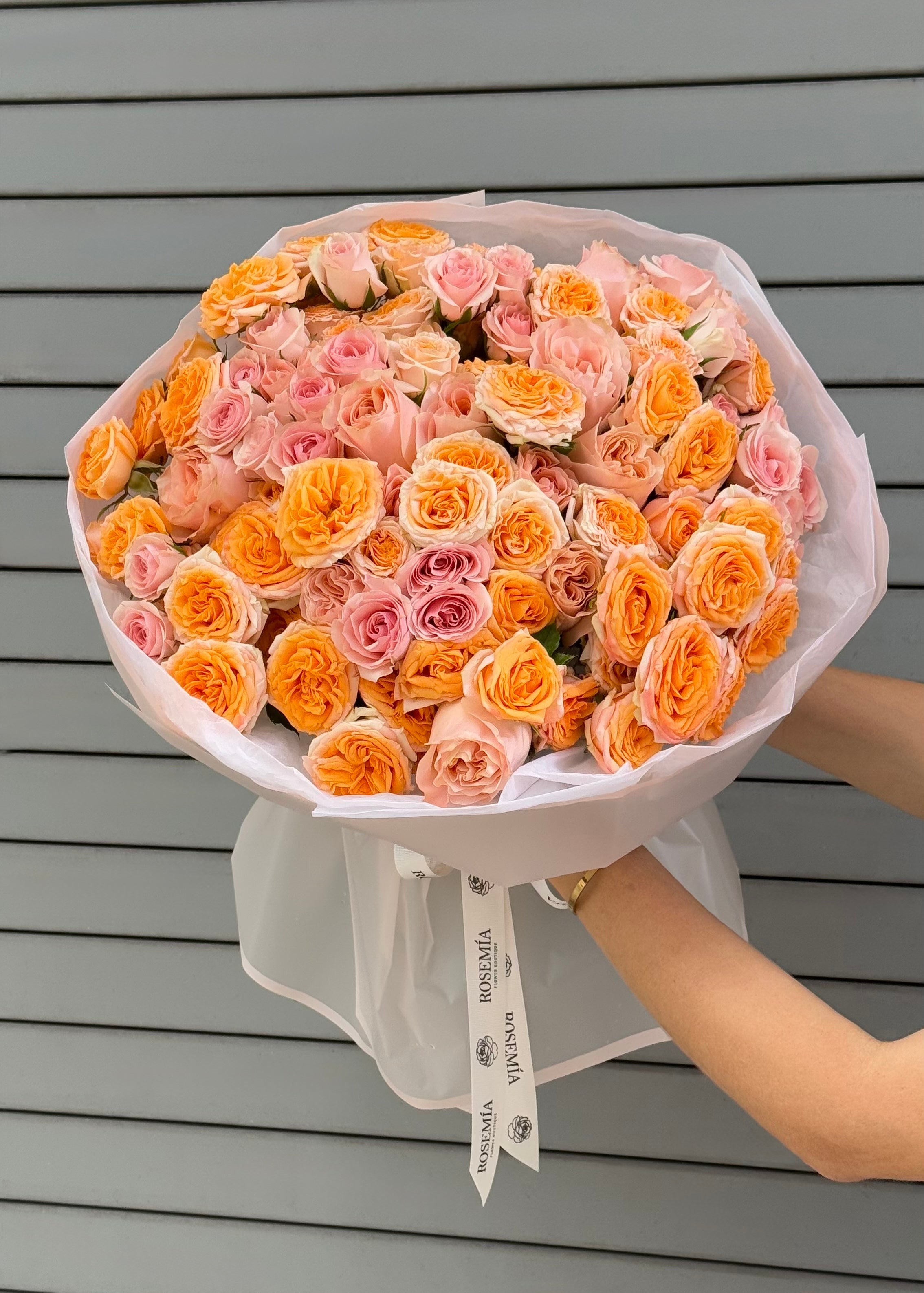 No.257 APRICOT ROSÉ - garden rose, spray rose